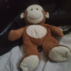 Mr Monkey 420