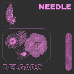 Needle