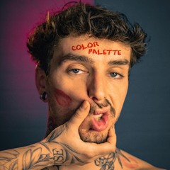 Color Palette
