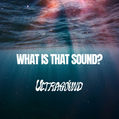 WHAT IS THAT SOUND? (Free DL)