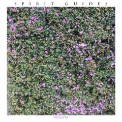 SPIRIT GUIDES