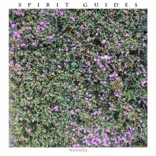 SPIRIT GUIDES