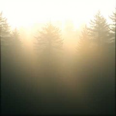 Whispers of the Last Dawn