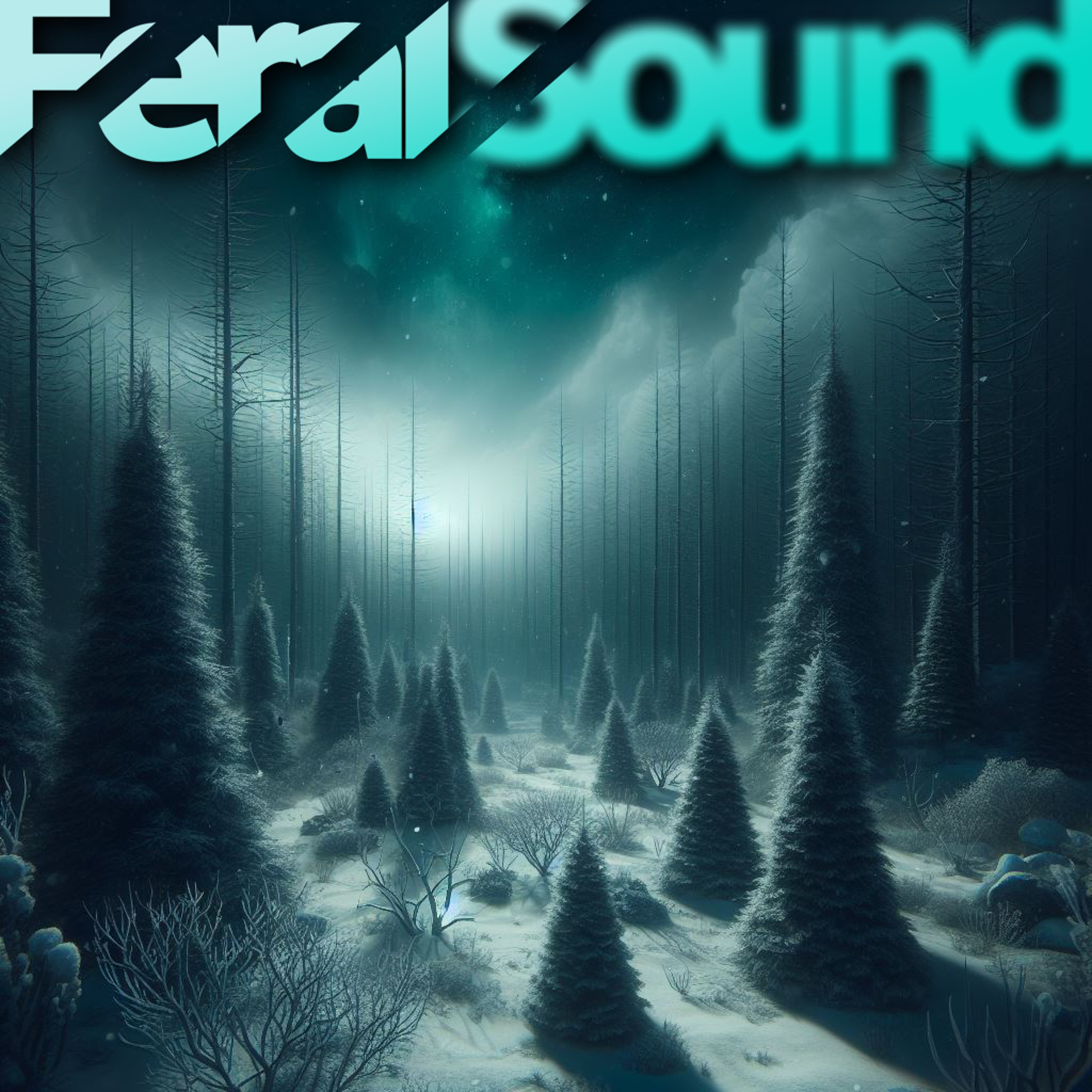 Feral Sound Holiday Special with Niko de Gallo b2b Fox - 29 Dec 2023
