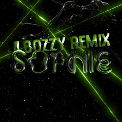 SOPHIE - Reason Why (feat. Kim Petras & BC Kingdom) (ilBozzy Remix)