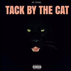 Tack By The Cat