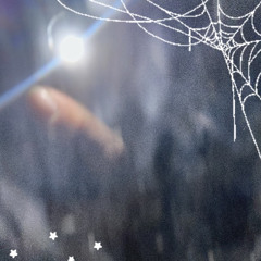 spiders (prod. inkivi)