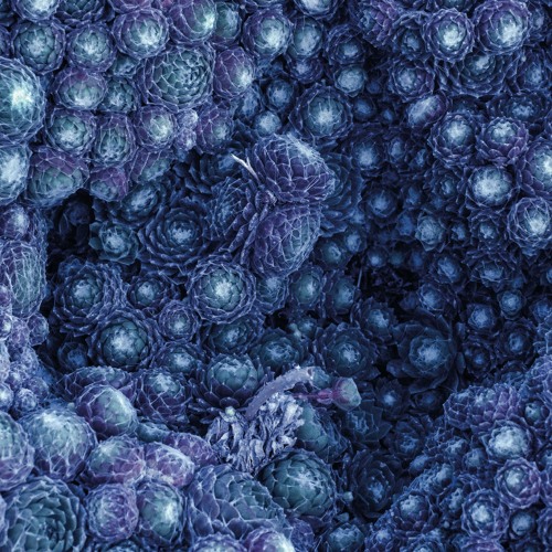 PREMIERE: Orbe - Incremental (Gianluca Caiati Version) [KSR012]