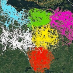 Daze of Summer (Part 1)