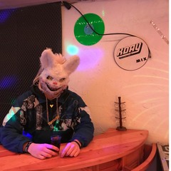 HasekniddlerZ - Hütche