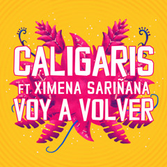 Voy a Volver (feat. Ximena Sariñana)