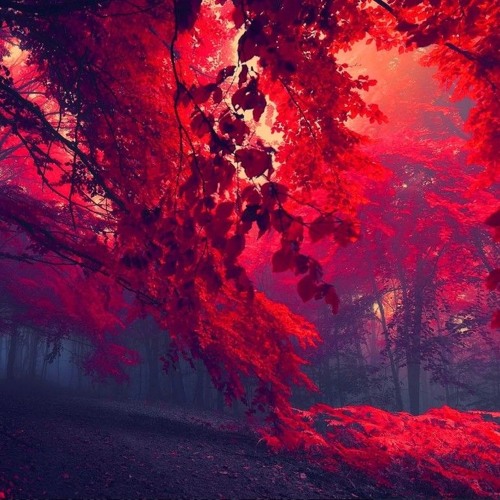 burnout [DR TSSSSOP]