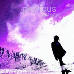 The Pluvious Journey ft Pluvio