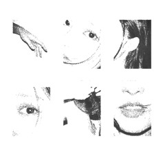evolution