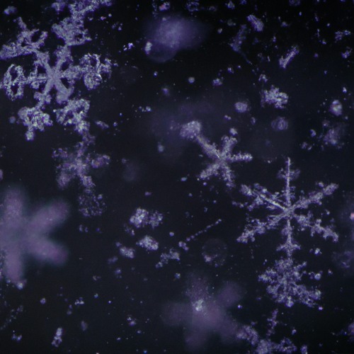 Snowflakes