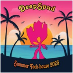 Summer Tech-house 2023
