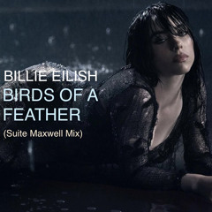 Billie Eilish - BIRDS OF A FEATHER (Suite Maxwell Mix).m4a