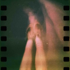 Why Did Life’s Fragility Touch Everything But Me?