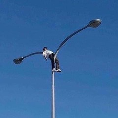 CHEER UP YOUTH!(prod.by ST4NDARD)