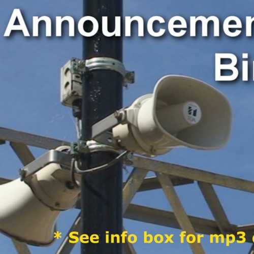 Stream Airport Station Announcement Chime Sound Effects By AllcastcoUK 