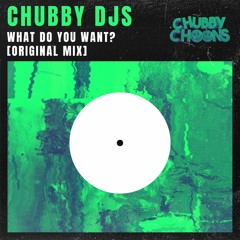 Chubby DJs - What Do You Want [Original Mix]