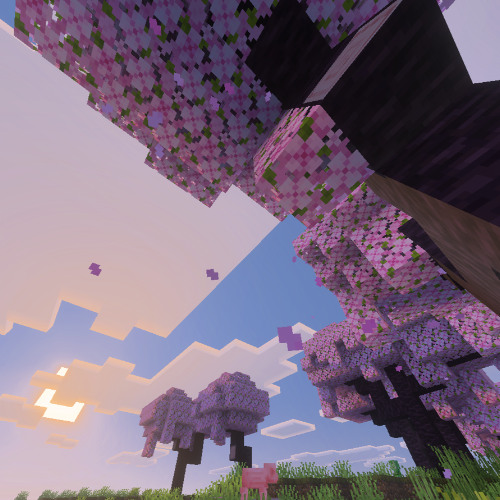 Let this sound find you, wherever you are