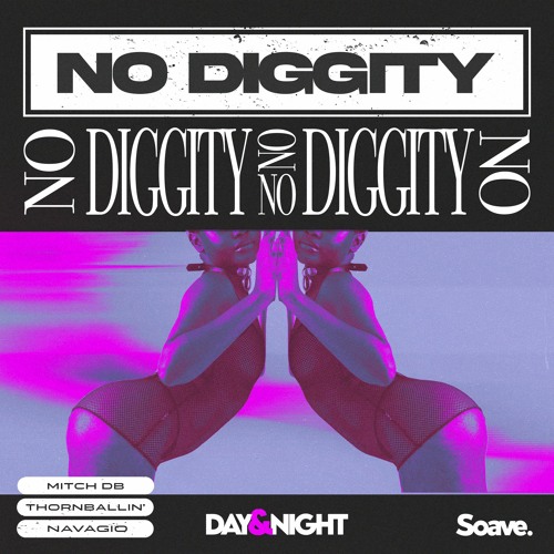 MITCH DB, Thornballin' & Navagio - No Diggity