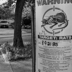 exterminate rats ft wlloff
