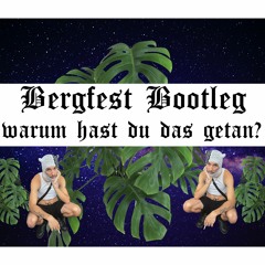 Warum Hast Du Das Getan (Bergfest Bootleg) - Die Prinzen - D-USAGE REMIX