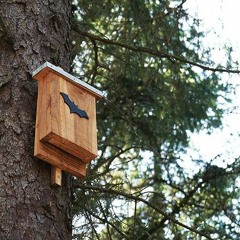 STBB#756[!ntoDaBox]