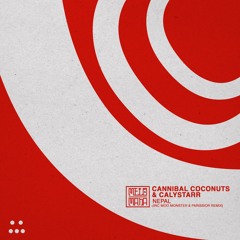 Cannibal Coconuts & Calystarr - Synths From The Moon