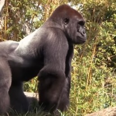 Johnny Blue Soul (91 BPM) Instrumental