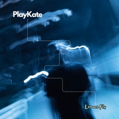 PlayKate - Let me Fly (Original Mix)