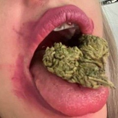polyana & 163onmyneck - травушка