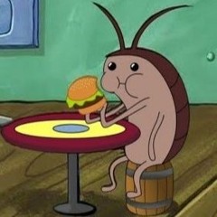 Soner - Cocroach Loop