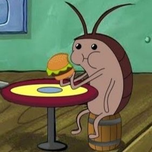 Soner - Cocroach Loop