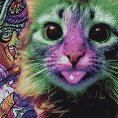 deepest sea regret cover