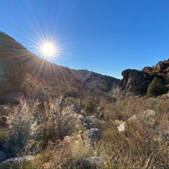 Jesus, Bright Morning Star