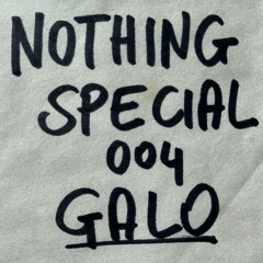 Nothing Special 004: Galo