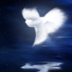 spirit movement