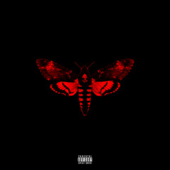 Lil Wayne - Gunwalk (feat. Gudda Gudda)