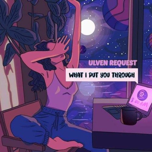 what i put you through ( stylez 678 ).mp3