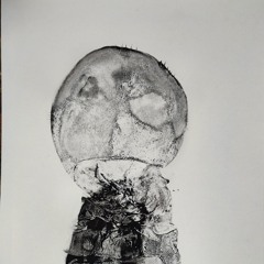 un cefalo floriforme