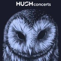 HUSH CONCERTS: LOFI HIP HOP & HOUSE SET LIVE