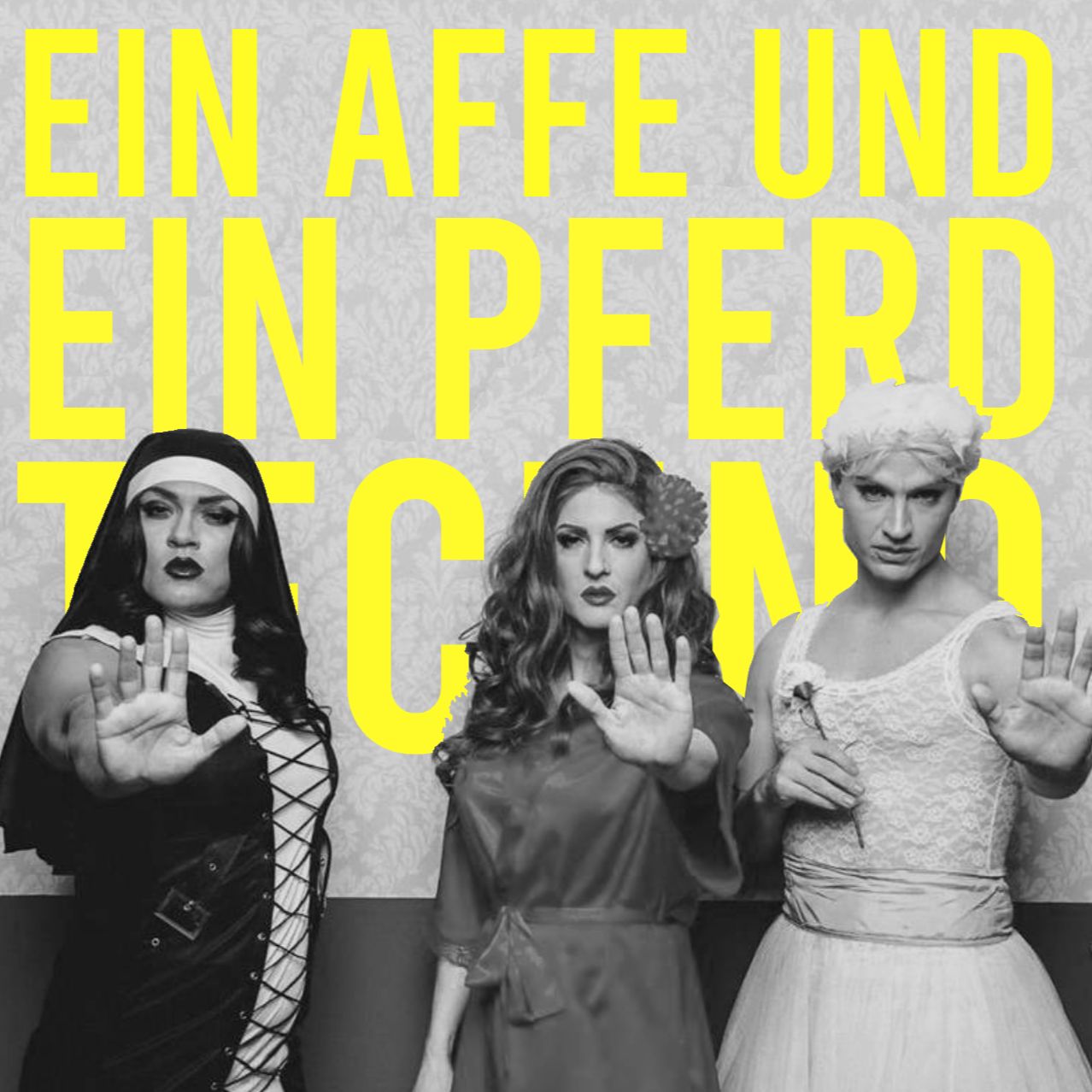 KIZ – Ein Affe und ein Pferd x Take a Look around (Techno Bootleg)