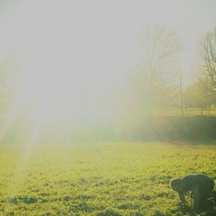 There Was A Blinding Light