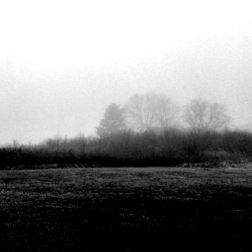 existing as a scarecrow made of the thoughts of others