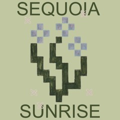 Maikol Recorded Sets