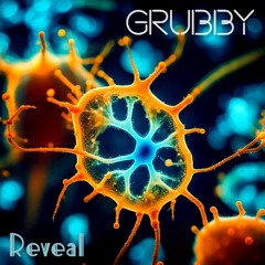 Reveal