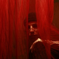 NACHTIGALL - VERIRRTE GEDANKEN